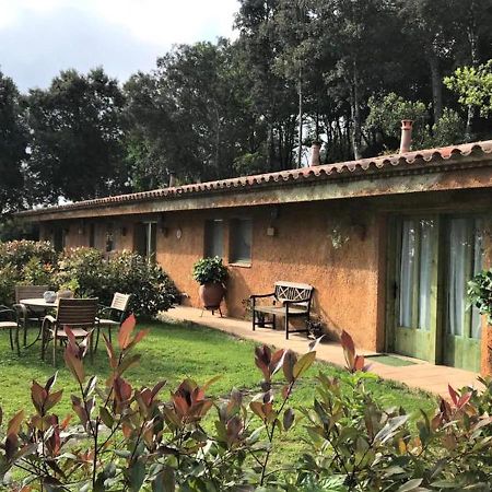 Aurora 2-Bed Cottage - Sleeps 4 - Montseny Park Arbúcies Εξωτερικό φωτογραφία