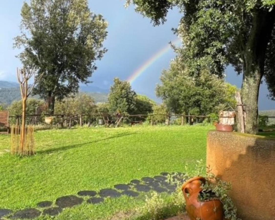 Aurora 2-Bed Cottage - Sleeps 4 - Montseny Park Arbúcies Εξωτερικό φωτογραφία