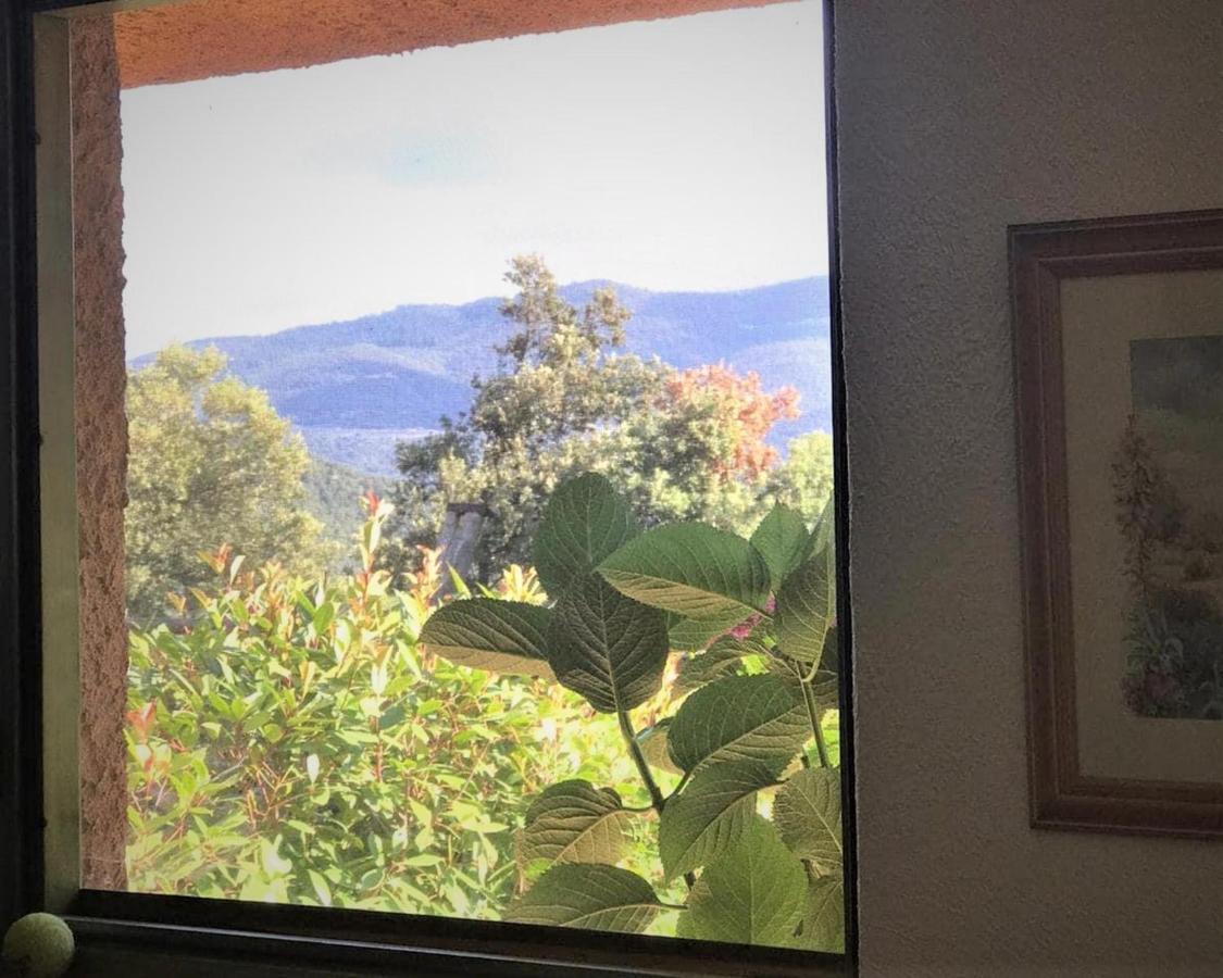 Aurora 2-Bed Cottage - Sleeps 4 - Montseny Park Arbúcies Εξωτερικό φωτογραφία